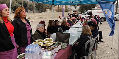 AKDENİZLİ KADINLARIN TOPRAKLA BULUŞTURDUĞU ŞEVKETİ BOSTAN BİTKİSİ HASAT EDİLDİ