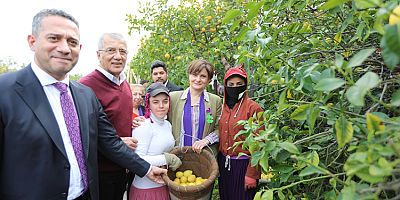 KAFTANCIOĞLU, BAŞKAN TARHAN’LA BİRLİKTE DALINDAN LİMON KESTİ